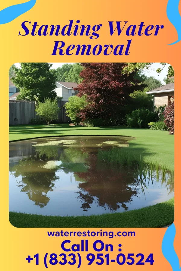 Standing Water Removal in Calumet, MI